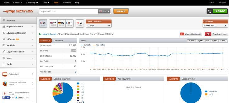 Smrush Analytics Reports