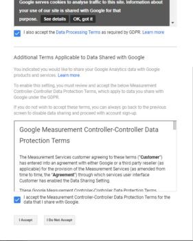 Google Analytics term 