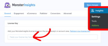 Monster Insights Google Analytics in WordPress