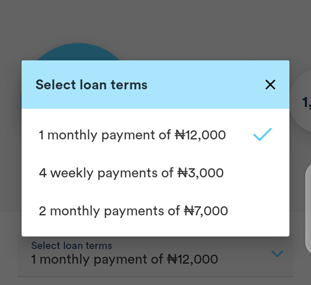 Branch Loan repayment 