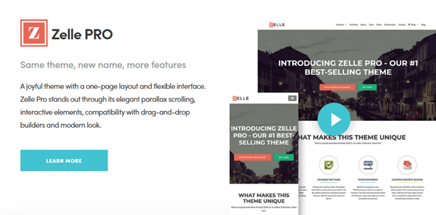 Zelle Pro Theme themeisle reviews