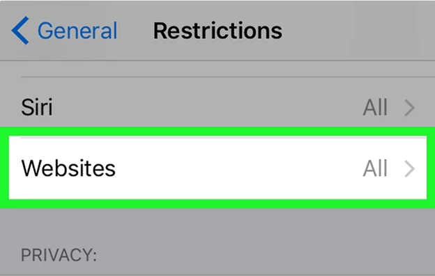 Restrict a Website On iPhone