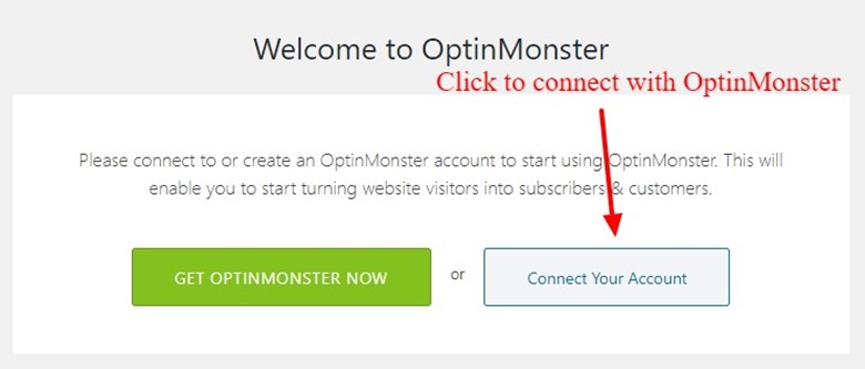 WordPress Website With OptinMonster