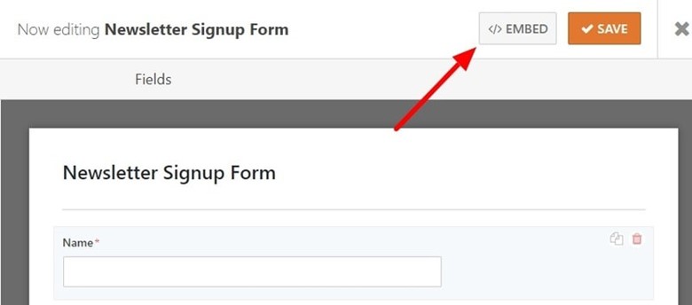 Newsletter Signup with WPForms 