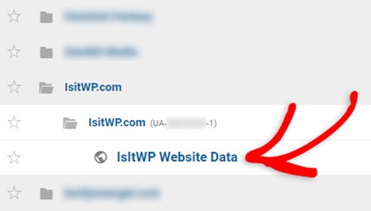 Setup MonsterInsights Plugin
