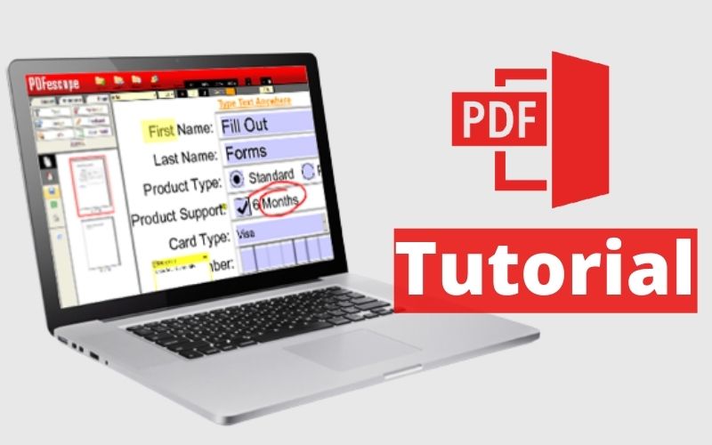 How To Use Pdfescape To Edit Or Create Your PDF File