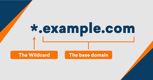RapidSSL wildcard or the PositiveSSL wildcard, services.