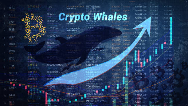 Will the Crypto Market Still Explode in 2022?  