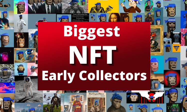 Who are the Biggest NFT Collectors?