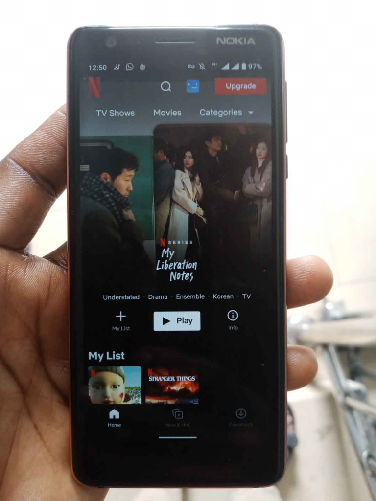 watch Netflix movies and series 