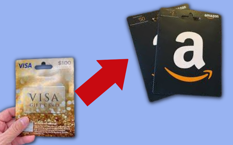 Visa gift card or an Amazon gift card?