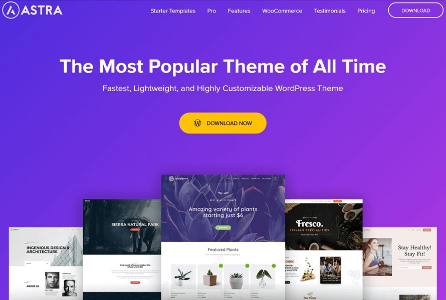 Astra-Fast-Lightweight-Customizable-Free-WordPress-Theme-Download-Now
