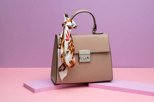 Bagpacks or Handbag 