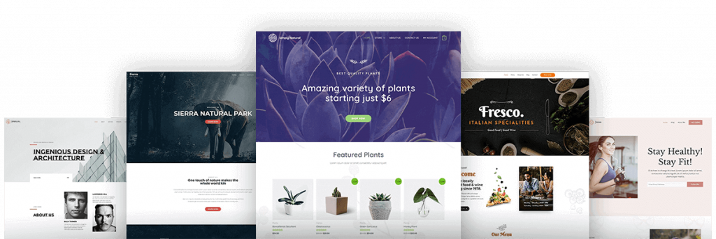 WordPress and WordPress Theme
