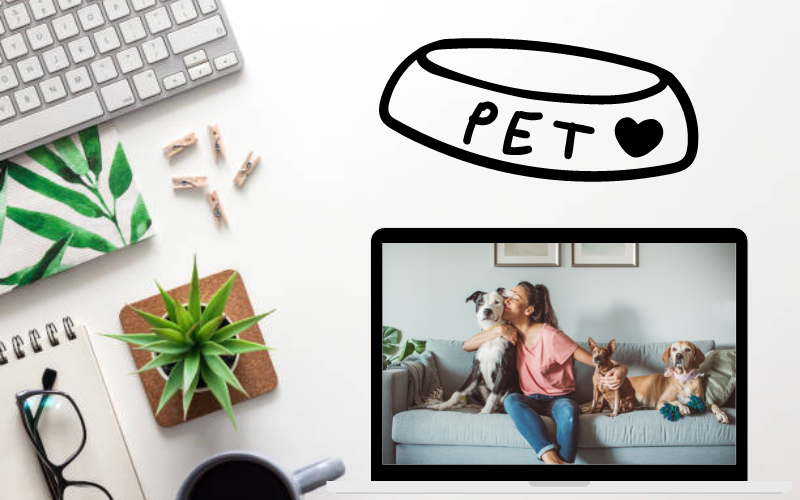 Pets blogging