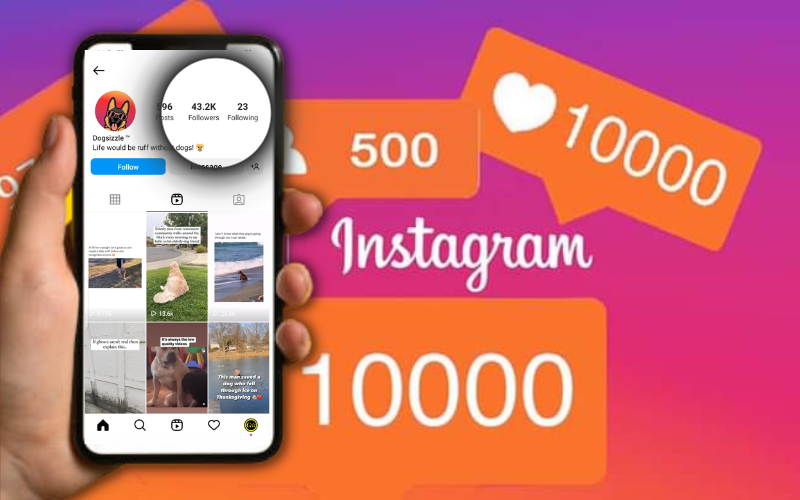 New Tricks to Get Free Instagram Followers FAST in 2023