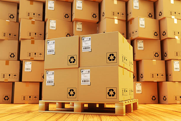 Sustainable Packaging Solution