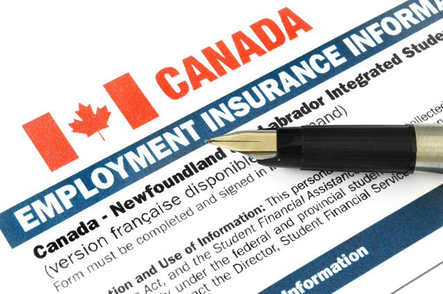 Employment insurance Alberta