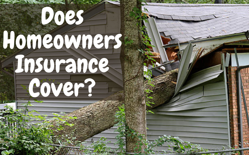Home Insurance Accidental Damage